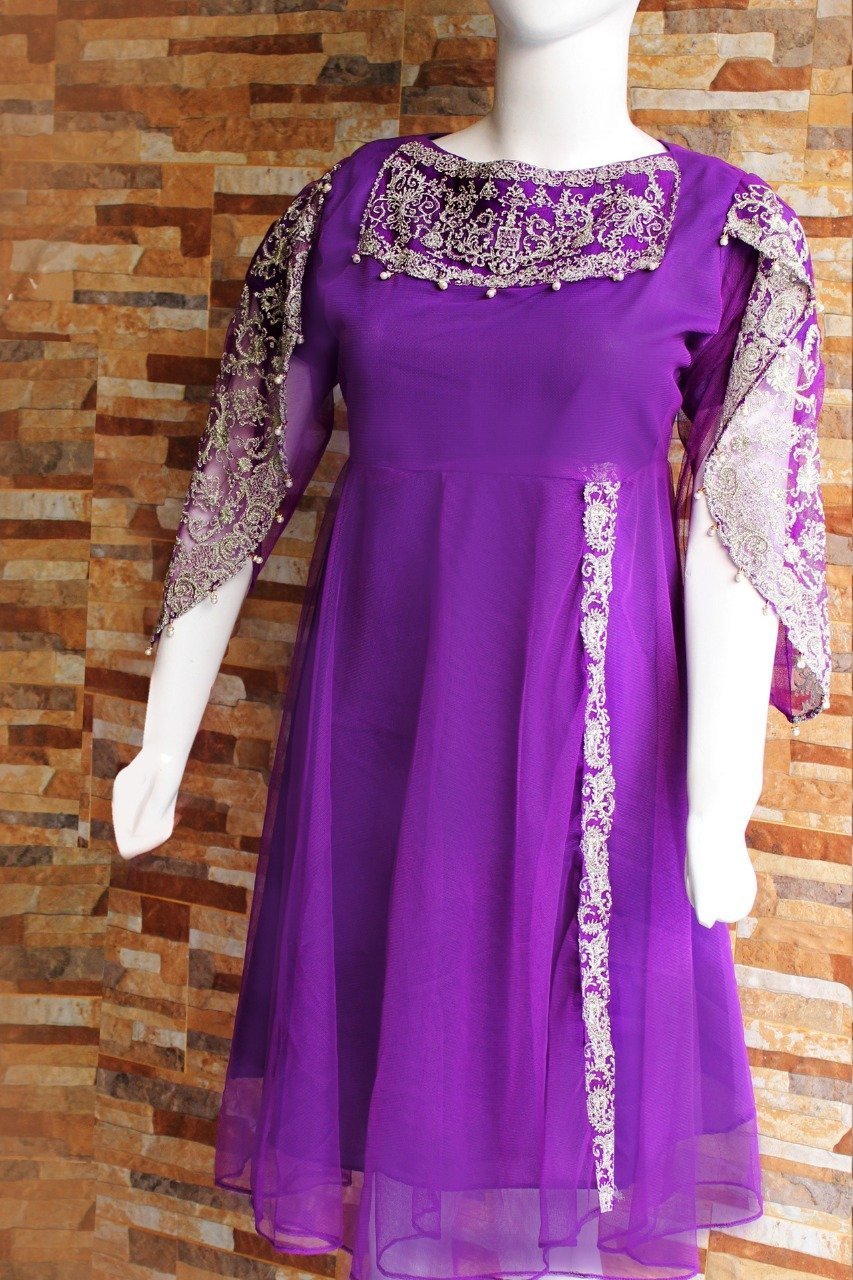 Net with Silk Lining - Pari Style - Ladies | Fashion Point | Waseeh Pakistan