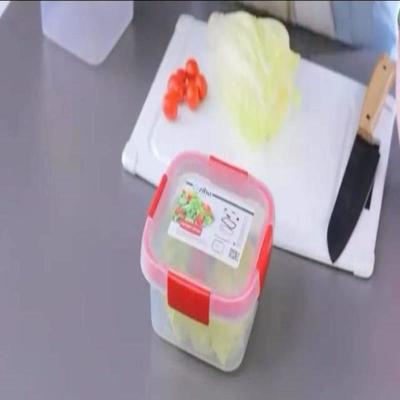 Oziba Storage Box | kitchen item | Waseeh Pakistan