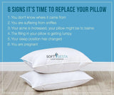 Soft Siesta Alternate Fill Pillow - Pack of 2 - waseeh.com