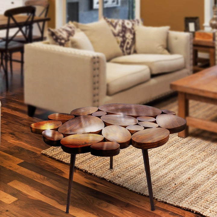 Placid Oval Living Lounge Center Table (Shisham) | Furniture | Waseeh Pakistan