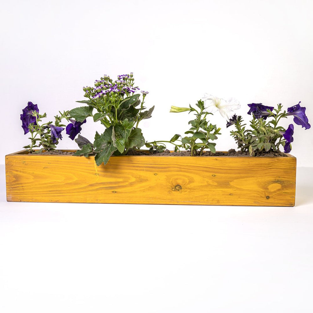 Planter Crockie | Not Sale FB | Waseeh Pakistan