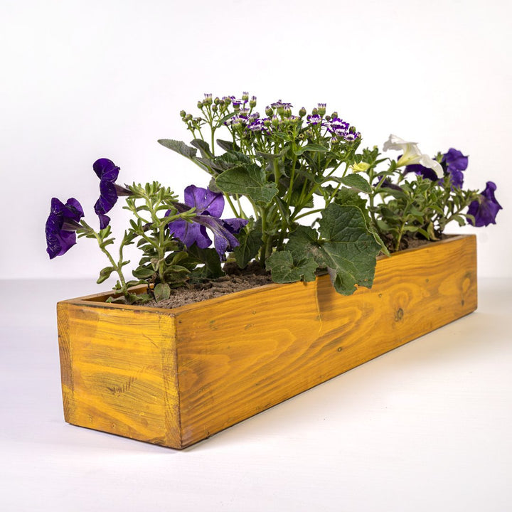 Planter Crockie | Not Sale FB | Waseeh Pakistan