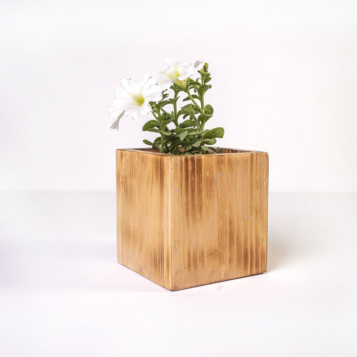 Planter Dixie | Not Sale FB | Waseeh Pakistan