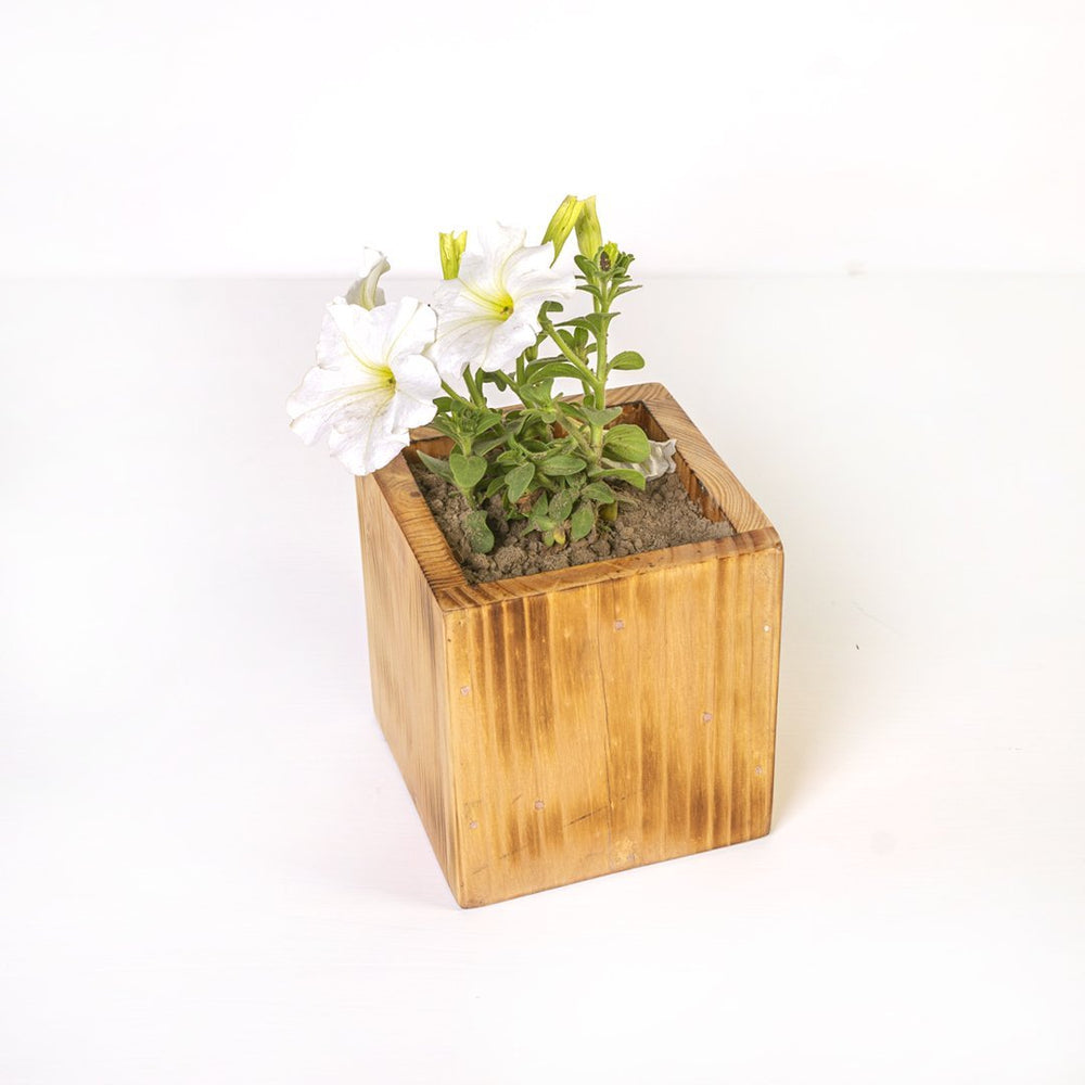 Planter Dixie | Not Sale FB | Waseeh Pakistan