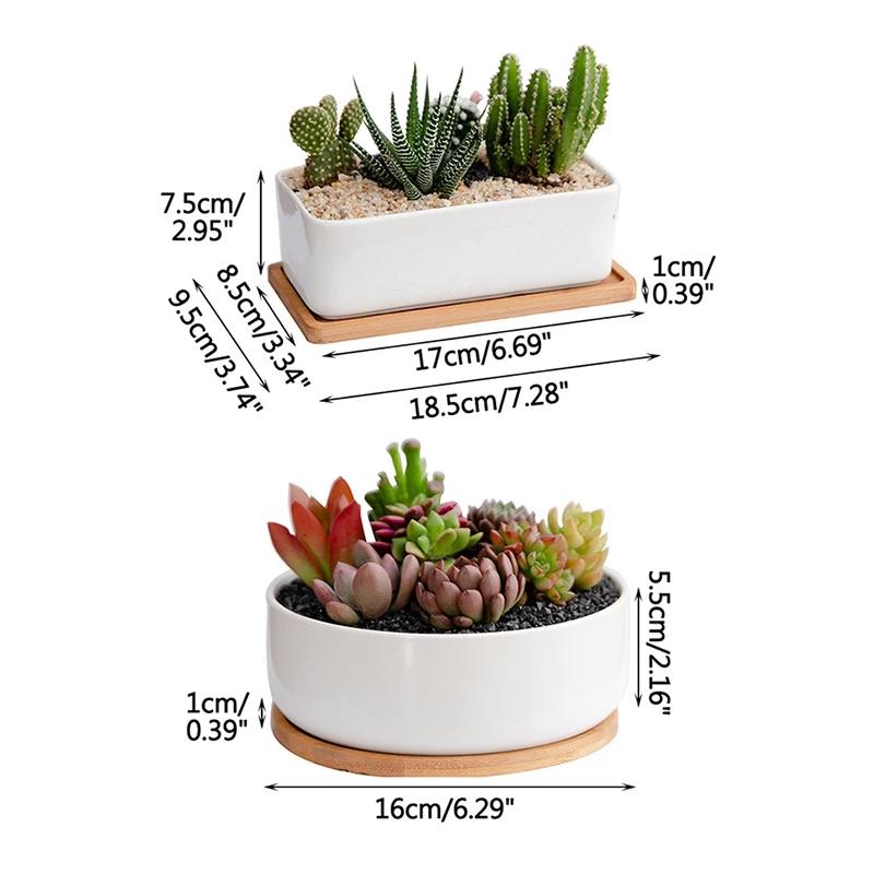 Planter Pot Decor | Home Décor | Waseeh Pakistan