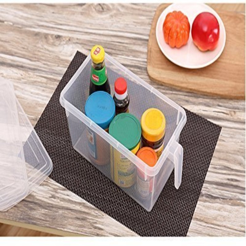 Storage Freezer Box with Handle - waseeh.com