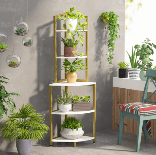 Plight Ladder Bookcase Shelve Kitchen Organizer Rack | Furniture | Waseeh Pakistan