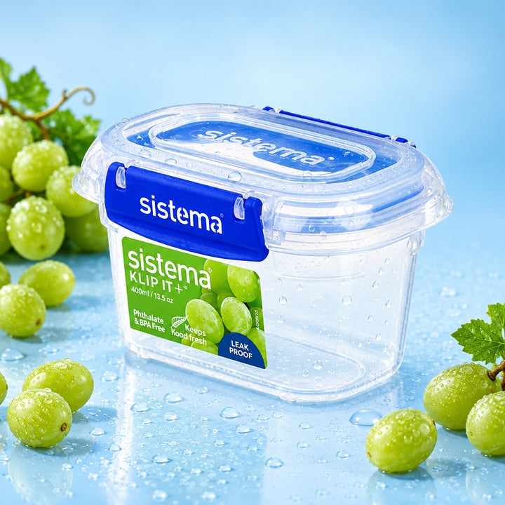 Rectangle Klip It Plus Food Box, 400 mL