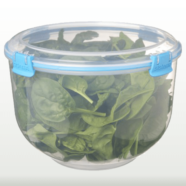 Salad Accents Food Box | kitchen item | Waseeh Pakistan