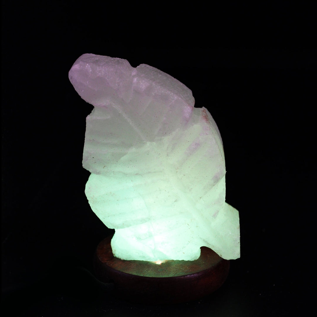 Small Fern - Salt Table Lamp | Home Décor | Waseeh Pakistan
