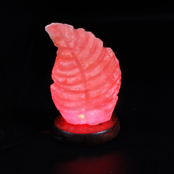 Small Fern - Salt Table Lamp | Home Décor | Waseeh Pakistan