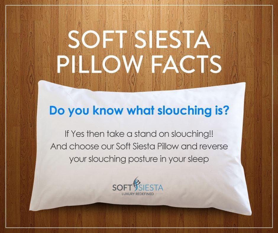 Soft Siesta Alternate Fill Pillow - Pack of 2 | Home Décor | Waseeh Pakistan