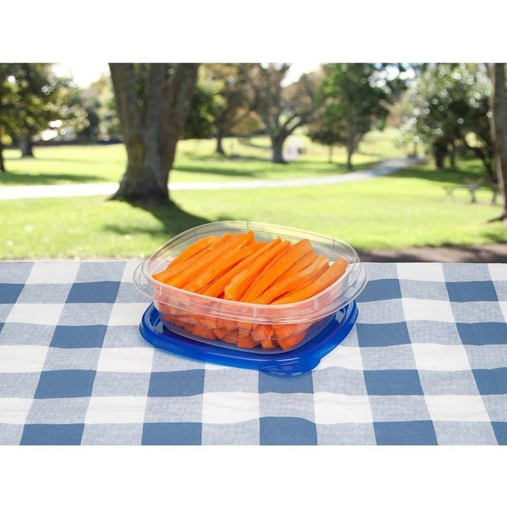 Square Take Along Food Conatiner Bowls (Pack of 4) | kitchen item | Waseeh Pakistan