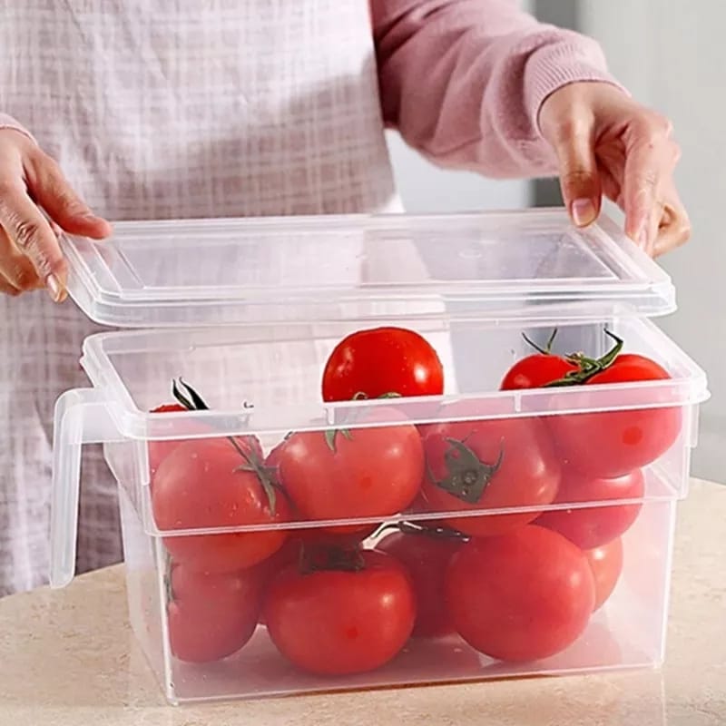 Storage Freezer Box with Handle | kitchen item | Waseeh Pakistan