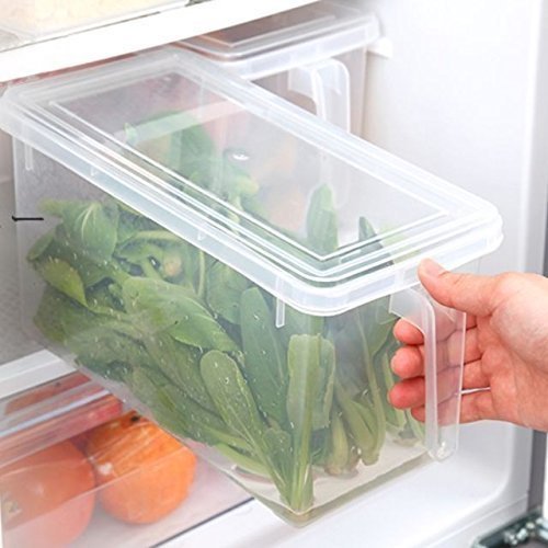 Storage Freezer Box with Handle | kitchen item | Waseeh Pakistan