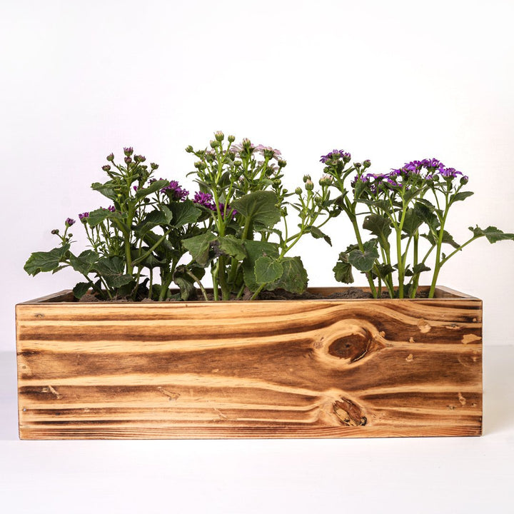 The Rancher Plant Pot Decor | Not Sale FB | Waseeh Pakistan