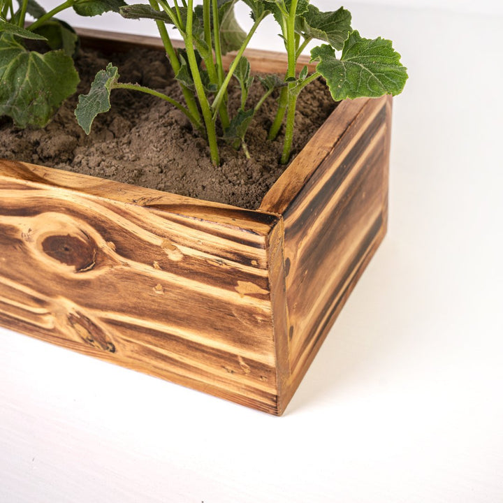 The Rancher Plant Pot Decor | Not Sale FB | Waseeh Pakistan