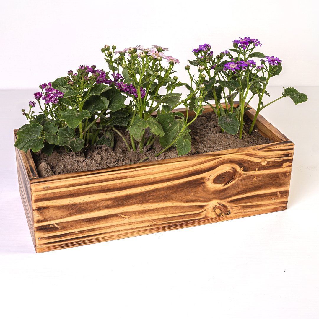 The Rancher Plant Pot Decor | Not Sale FB | Waseeh Pakistan