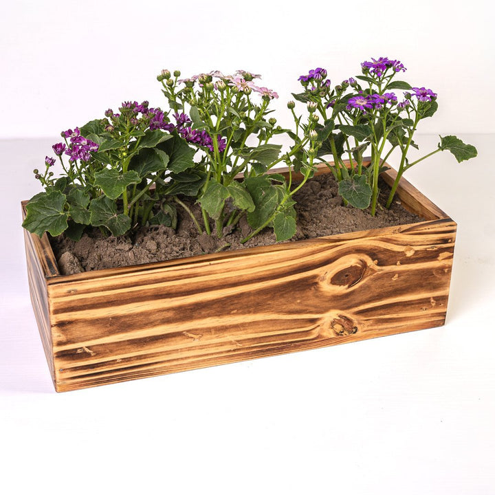 The Rancher Plant Pot Decor | Not Sale FB | Waseeh Pakistan