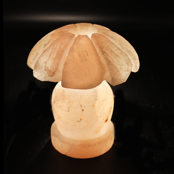 Umbrella - Table Salt Lamp | Home Décor | Waseeh Pakistan