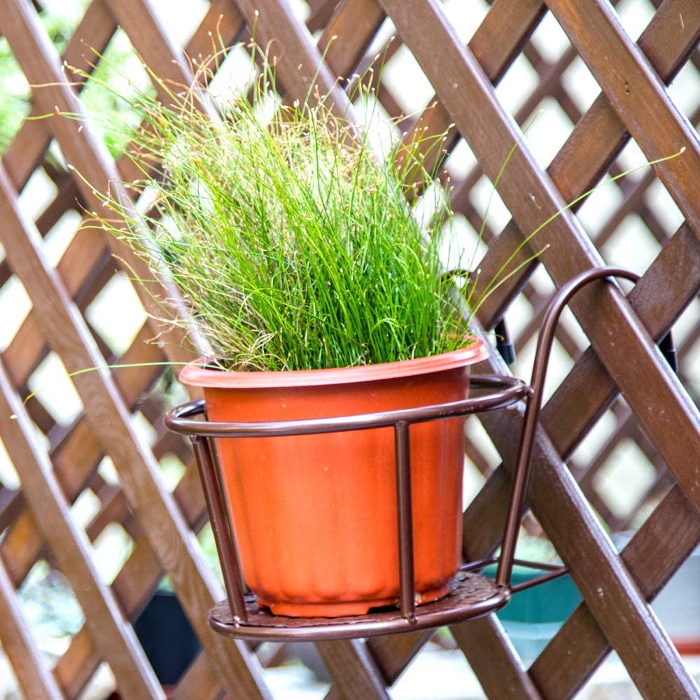 Wall Hanging Plant Stand | Not Sale FB | Waseeh Pakistan