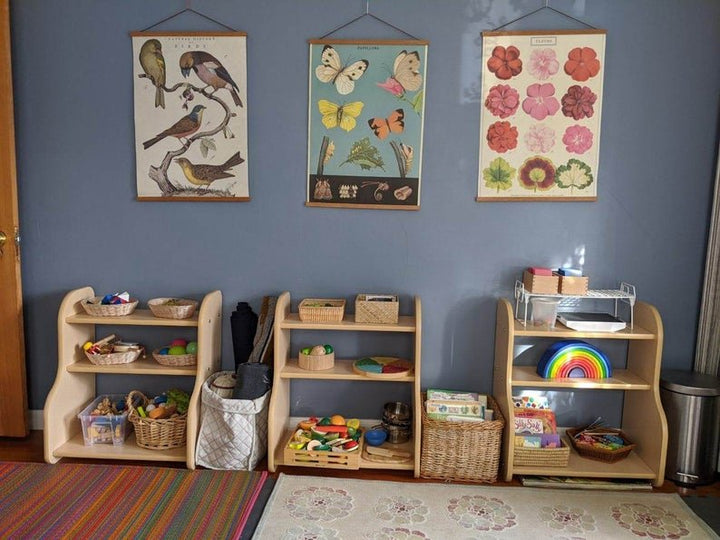 Wild Zoo Kids Bedroom Bookcase Rack Decor | Not Sale FB | Waseeh Pakistan