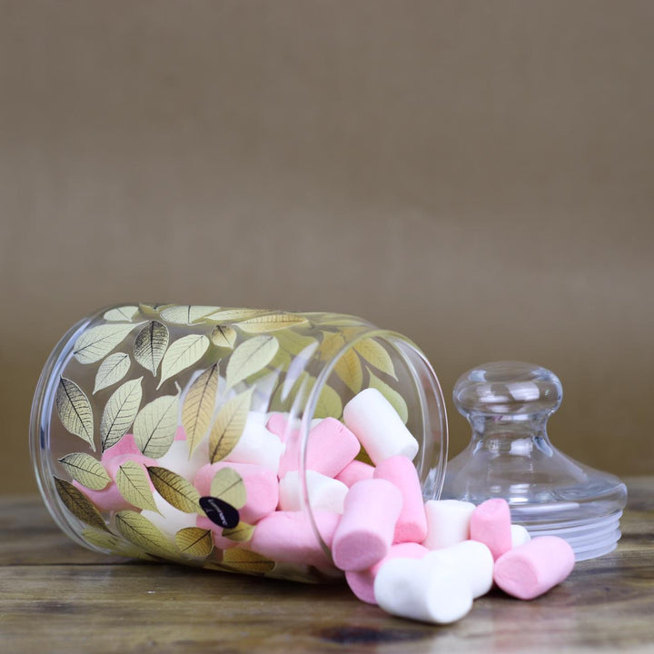 Zayra 3pcs Jars | kitchen item | Waseeh Pakistan