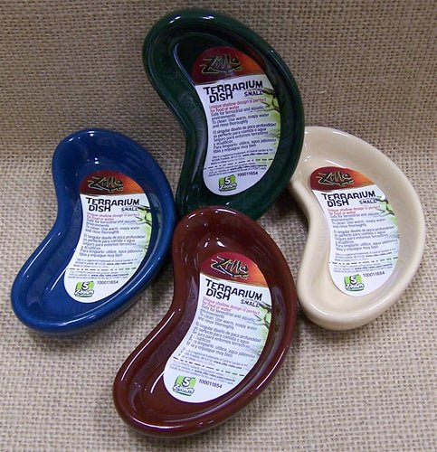Zilla Terrarium Dish | kitchen item | Waseeh Pakistan
